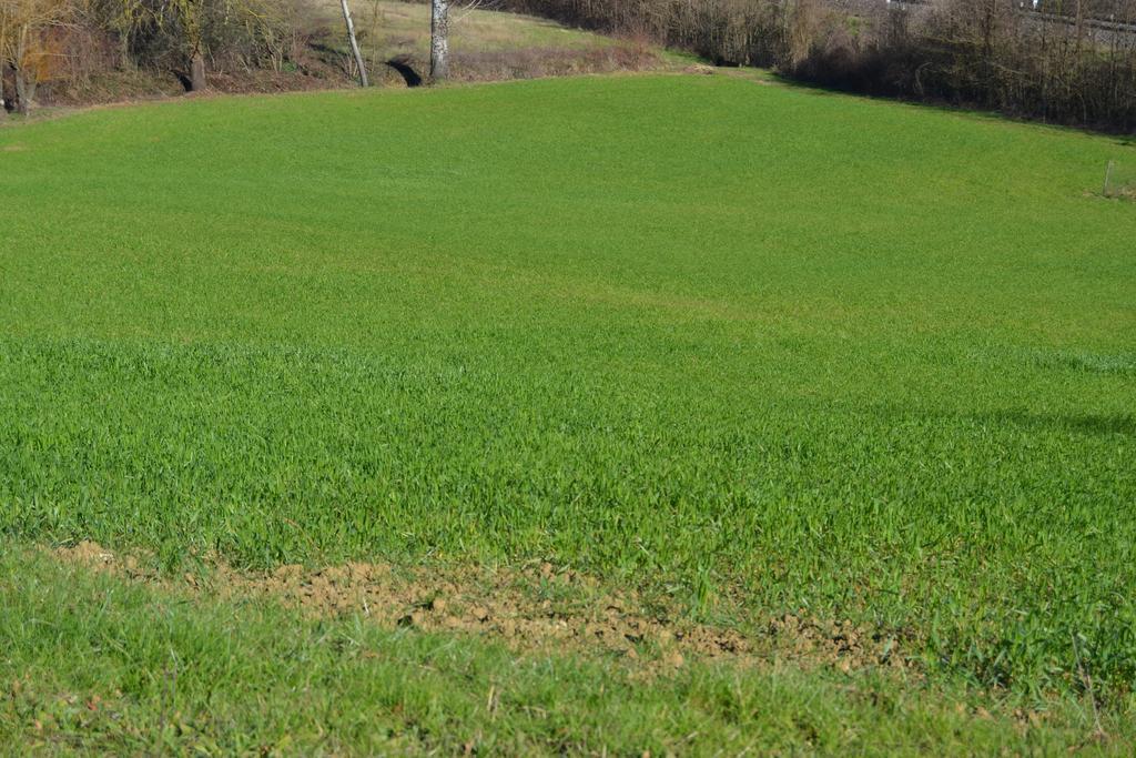 Agriturismo La Querce Rignano Sull Arno Ruang foto