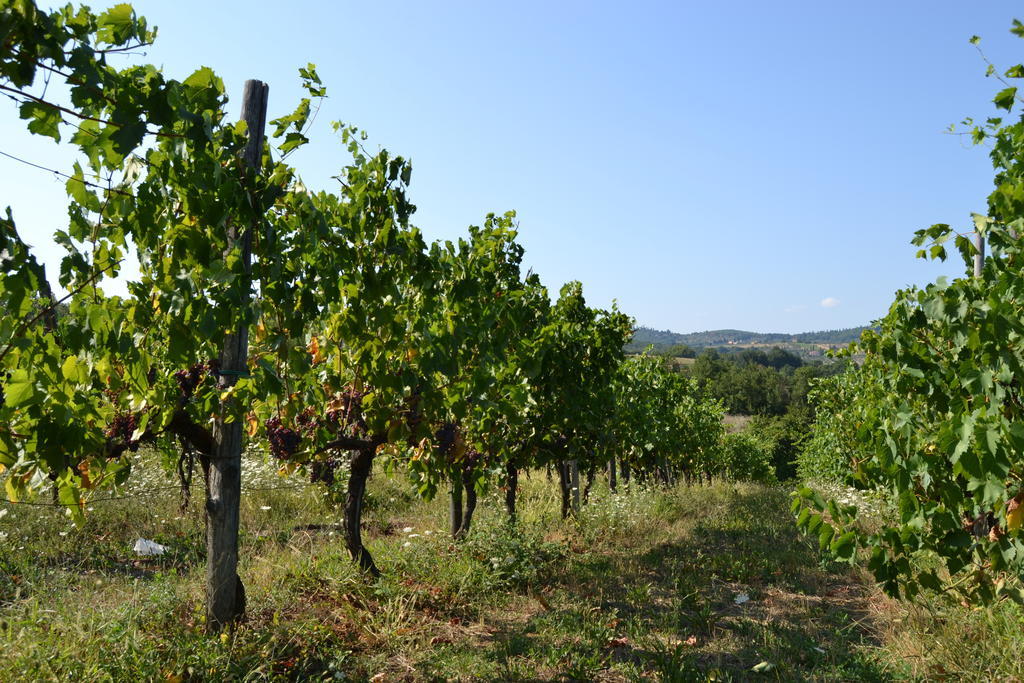 Agriturismo La Querce Rignano Sull Arno Bagian luar foto